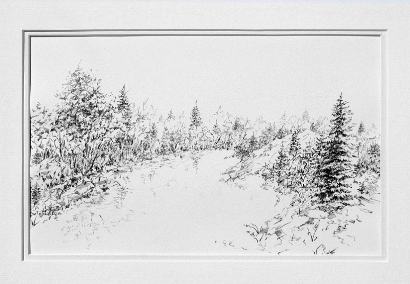 Lakeside 6, 9x14 inches, graphite pencil, 2013.jpg